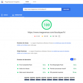 100% Google PageSpeed boutique Prestashop