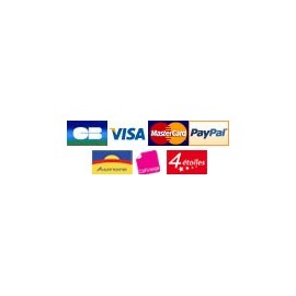 Module Paypal et carte bancaire sans compte Paypal