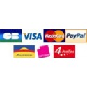 Module Paypal or credit card without a Paypal account